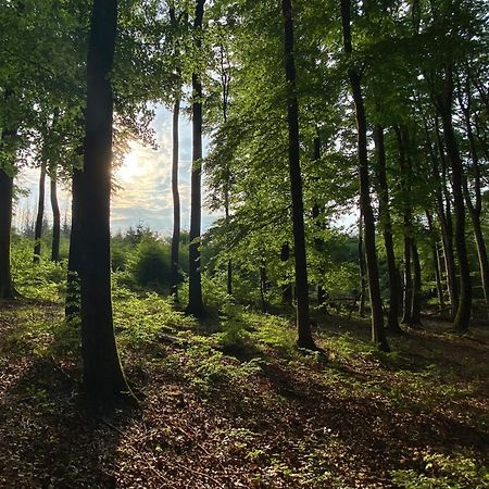 Fruehstueckspension Zur Krone Bad Endbach Exterior foto